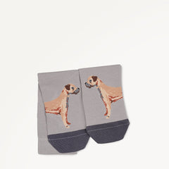Ash 1 Pack Socks | Radley London sale